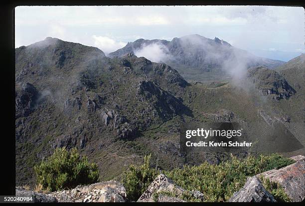 clouds drifting over paramo - chirripo national park stock pictures, royalty-free photos & images