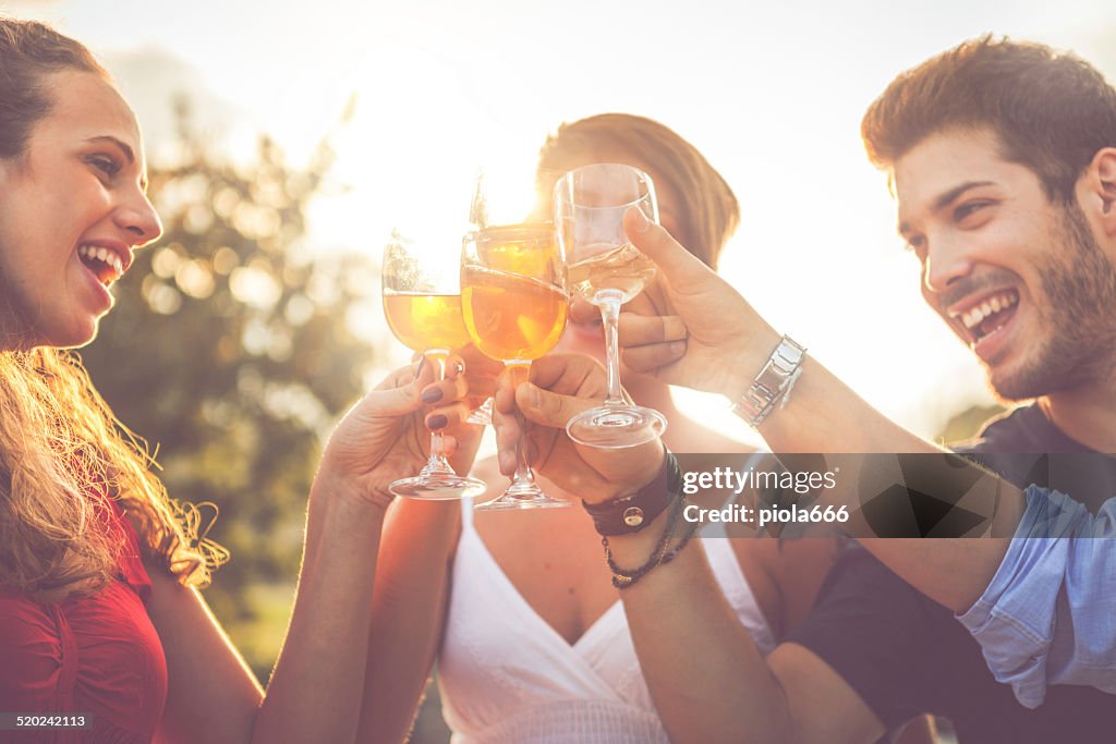 Group of friends drinking wine in cheerful moment