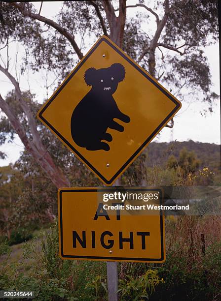 koala crossing - animal crossing sign stockfoto's en -beelden