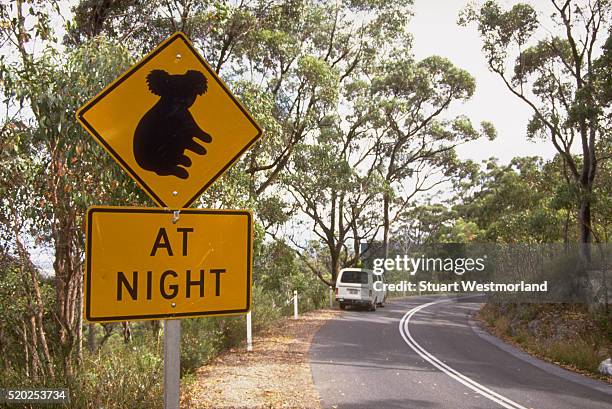 koala sign near adelaide - animal crossing foto e immagini stock