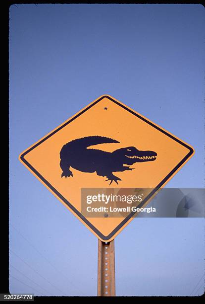 Alligator Point Sign Alligator Crossing Photos and Premium High Res Pictures - Getty Images
