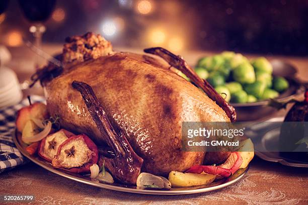traditional british holiday goose dinner with apples and brussels sprouts - gås bildbanksfoton och bilder