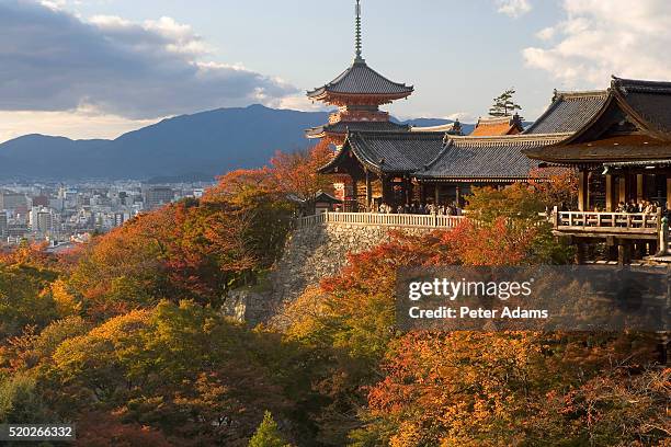 kiyomizu-dera - kiyomizu dera temple - fotografias e filmes do acervo