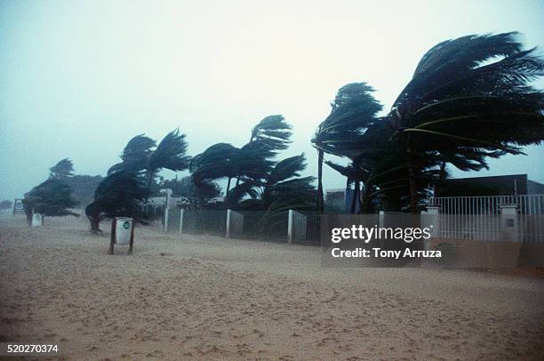 san juan during hurricane - ciclón fotografías e imágenes de stock