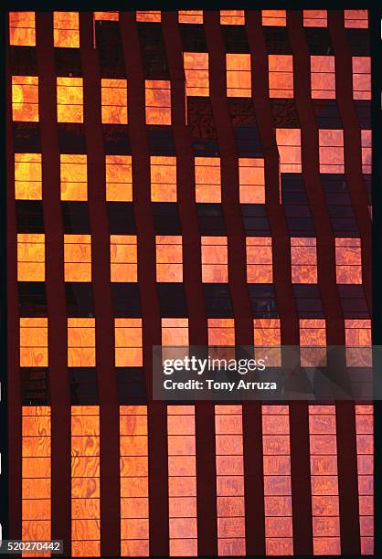 sunset reflected on a skyscraper - tampa sunset stock pictures, royalty-free photos & images