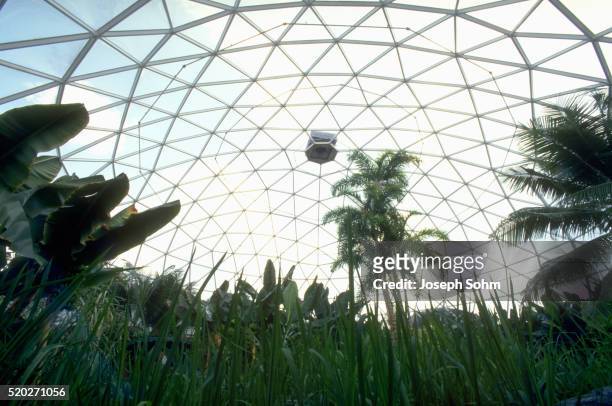 greenhouse at epcot center - geodetisk kupol bildbanksfoton och bilder
