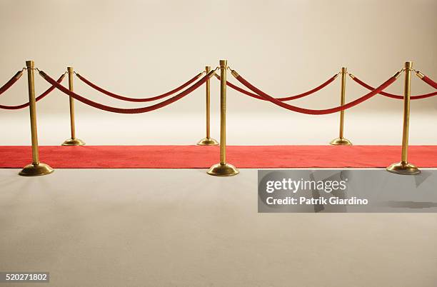 velvet rope and red carpet - barrera de cuerda fotografías e imágenes de stock