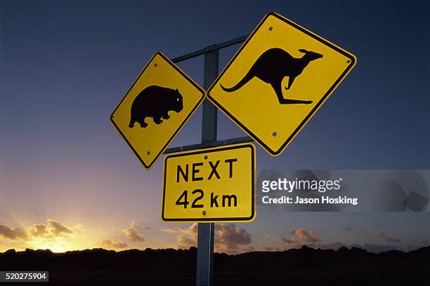 road crossing sign at sunset, australia - animal crossing sign stockfoto's en -beelden