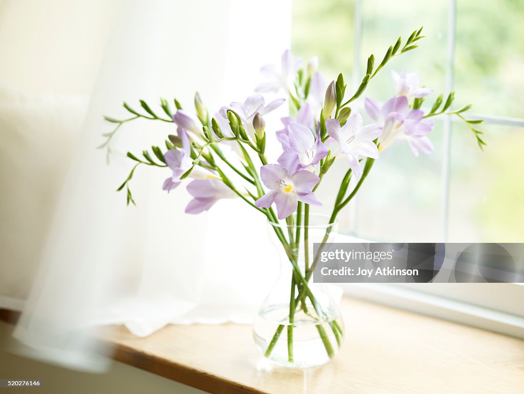 Freesias in vase on windowsill