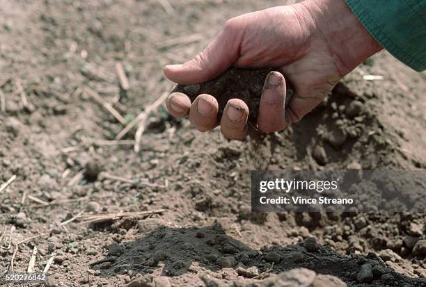 vineyard soil in napa valley - soil hands stock pictures, royalty-free photos & images