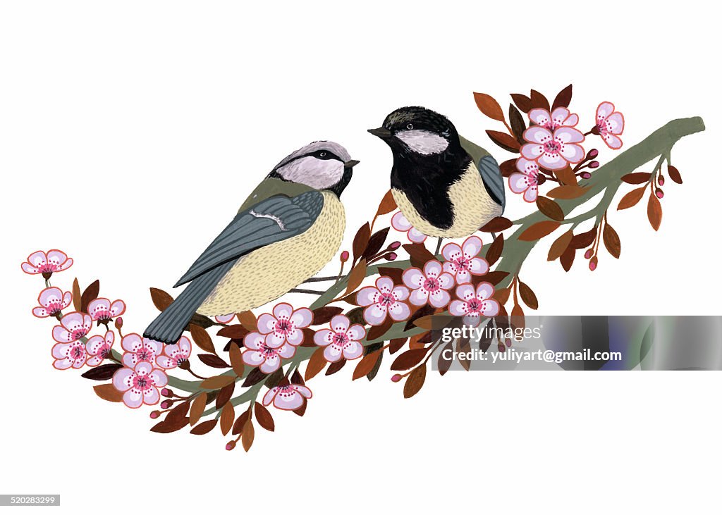 Chickadee Couple on Cherry Branch