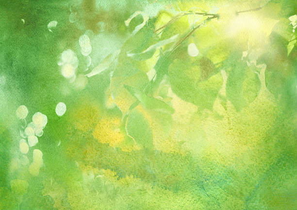 fresh foliage, spring watercolor background - spring background stock illustrations