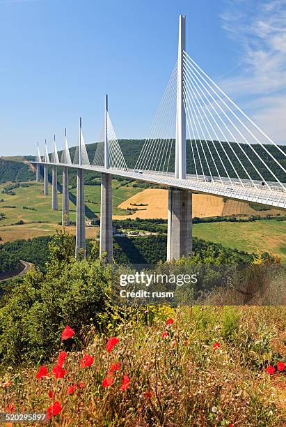 millau bridge, united kingdom - tall poppy stock pictures, royalty-free photos & images