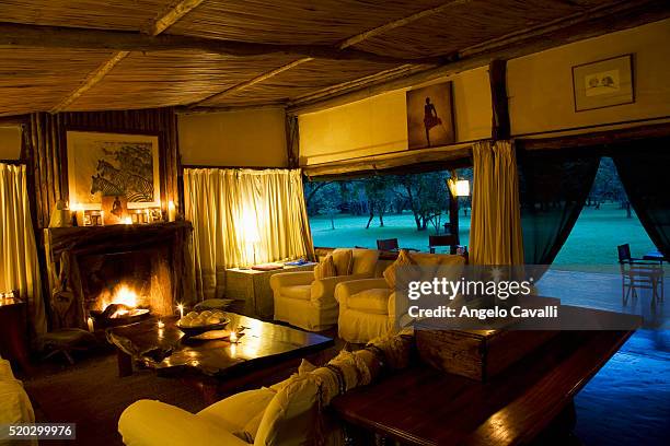 185 Safari Living Room Stock Photos, High-Res Pictures, and Images ...
