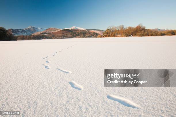 derwent water at keswick in the lake district completely frozen over during the december 2010 big chill, with footsteps from a walker who walked across the lake. - footprints stock pictures, royalty-free photos & images