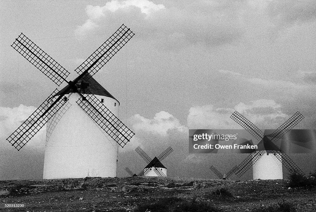 Field of Windmills