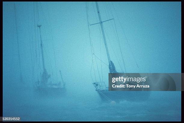 sailboats in hurricane hugo - 1989 hurricane hugo stock-fotos und bilder