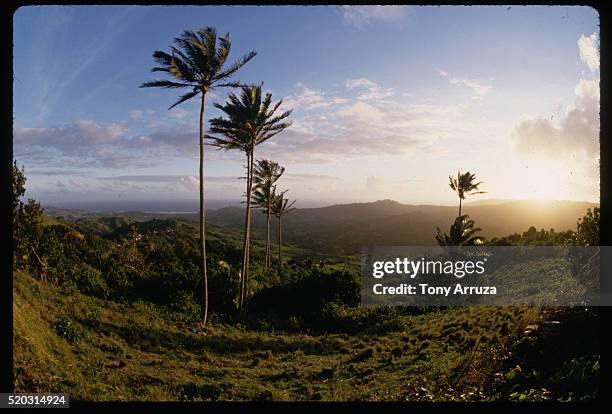 sunrise viewed from mount hillaby, barbados - barbados stock pictures, royalty-free photos & images