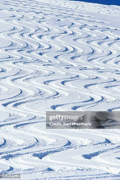 ski tracks in the cariboo mountains - cariboo stock pictures, royalty-free photos & images