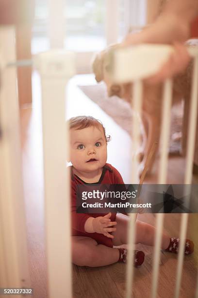 baby boy waits behind baby gate - baby gate stock pictures, royalty-free photos & images