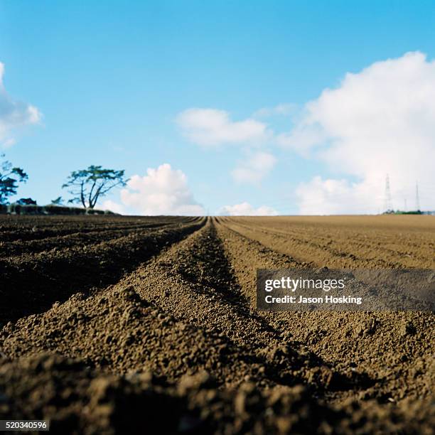 freshly plowed field of dirt - plowed field stock pictures, royalty-free photos & images