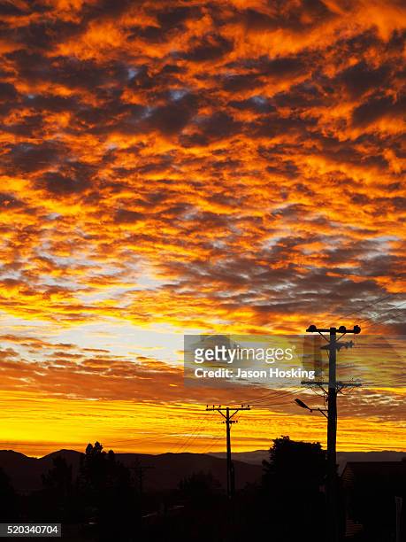 dramatic golden sunset - new zealand rural bildbanksfoton och bilder