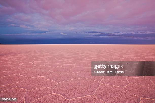 pink sunset on hexagon shapes, salar de uyuni - bolivia photos et images de collection