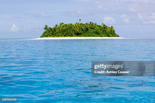 teafualiku island in tuvalu - tuvalu - fotografias e filmes do acervo