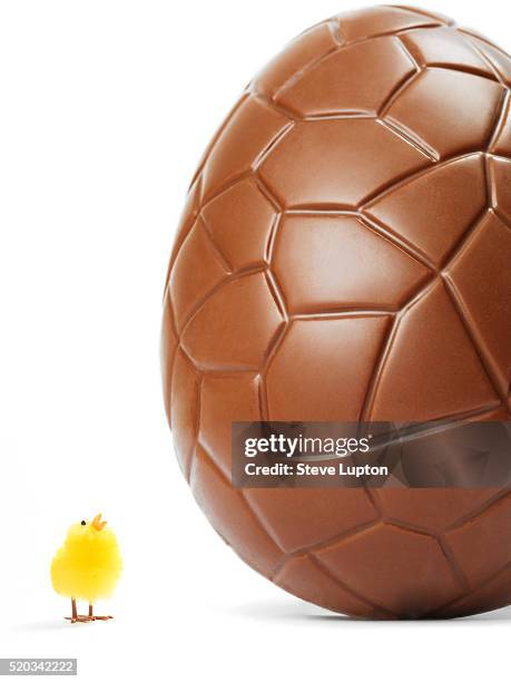 toy easter chick looking at chocolate easter egg - chicken decoration stock pictures, royalty-free photos & images