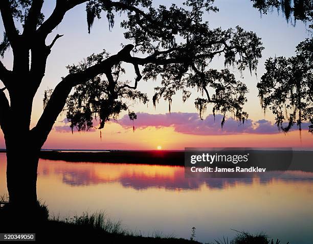 sun setting over brickhill river - deciduous tree stock-fotos und bilder