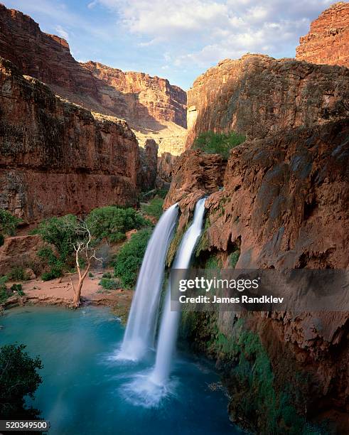 havasu falls - havasu falls stockfoto's en -beelden