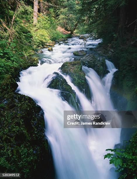 sol duc falls - olympic peninsula photos et images de collection