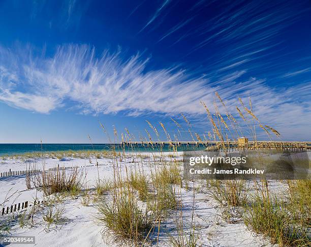 sea oats and white sand dunes - santa rosa stockfoto's en -beelden