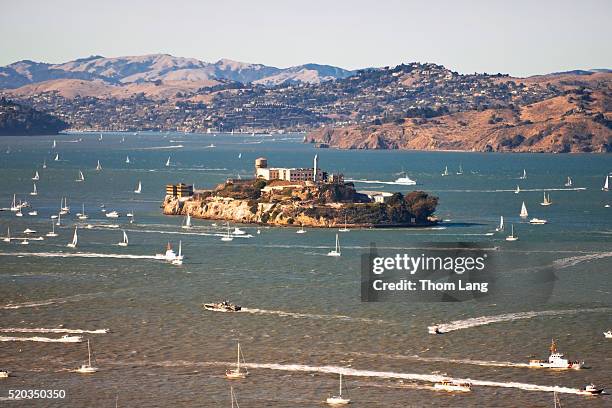 alcatraz and sailboats - bahía de san francisco fotografías e imágenes de stock