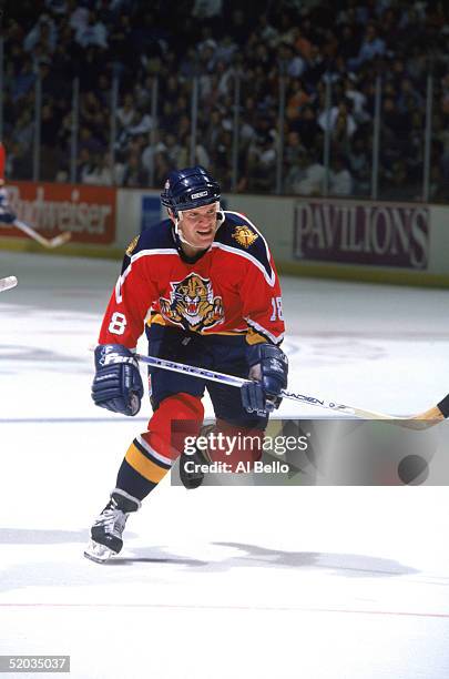 Mike Rough Interviews 21 Mike Hough Panthers Photos & High Res Pictures - Getty Images