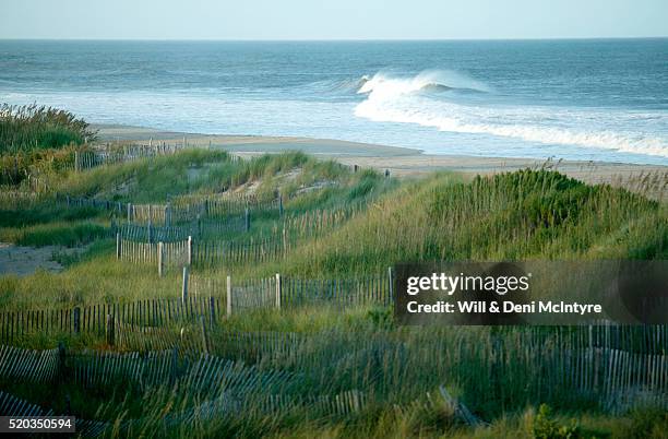 picket fences on sand dunes at beach - cape hatteras stockfoto's en -beelden