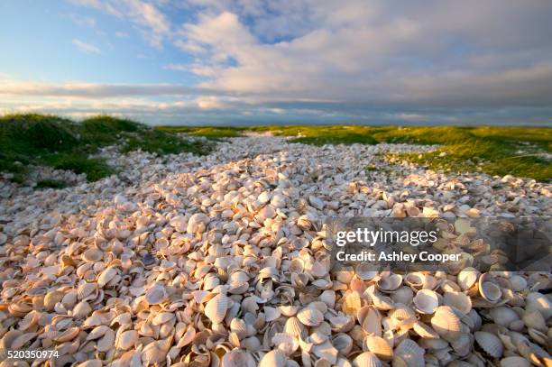 Midden Photos and Premium High Res Pictures - Getty Images
