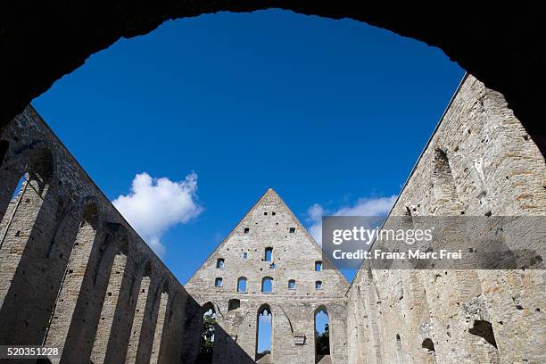 ruins of pirita dominican monastery in estonia - pirita stock pictures, royalty-free photos & images