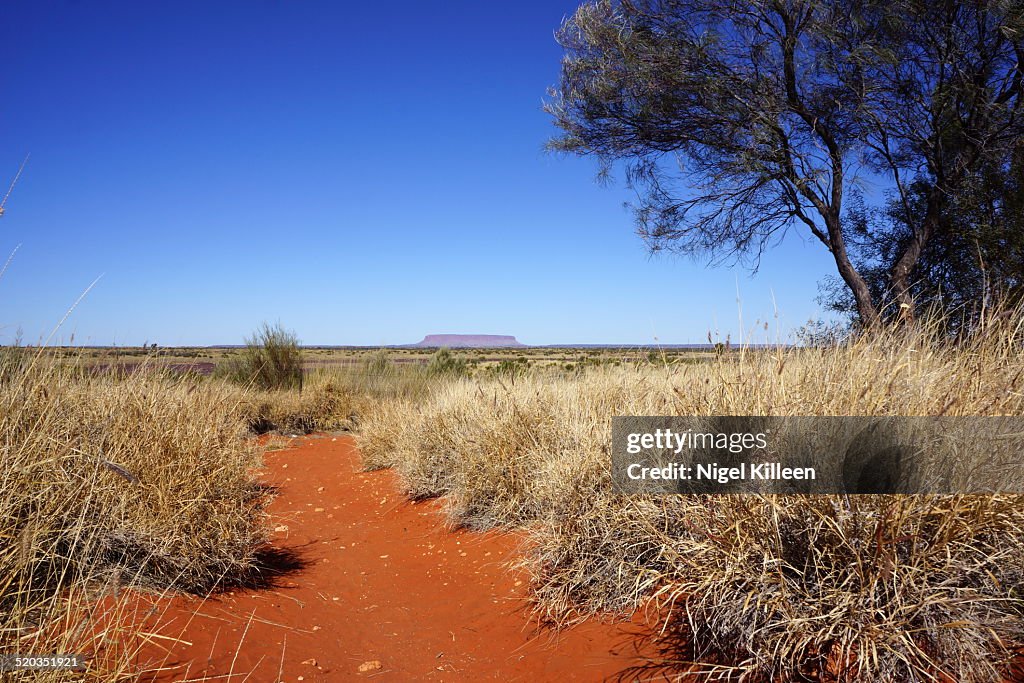 The Australian Outback with Mt Connor