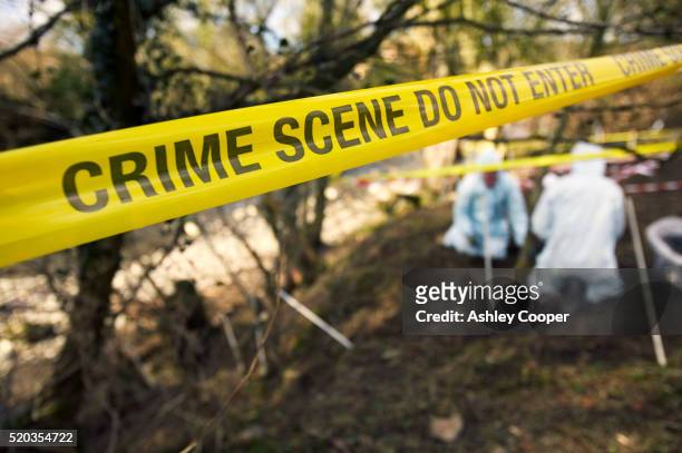 uk - crime - scene investigators searching grave site - crimine foto e immagini stock