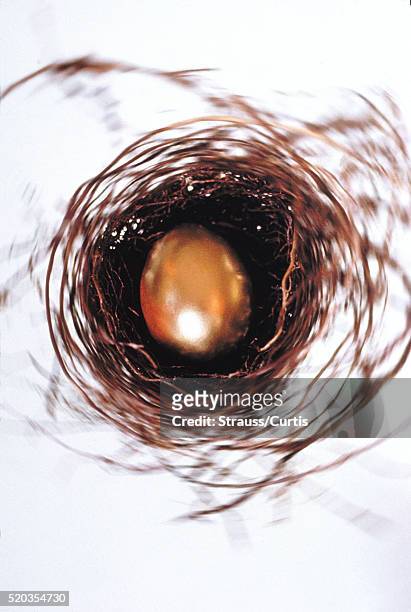 golden nest egg - golden egg stock pictures, royalty-free photos & images