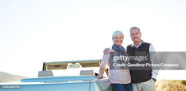 our trusty steed will get us there - next to stock pictures, royalty-free photos & images