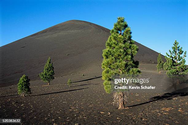 scattered ponderosa pines below cinder cone - cinder cone volcano stock pictures, royalty-free photos & images