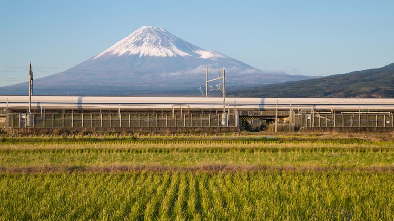 Bullet Train Rice 1,216 Shinkansen Train Stock Videos, Footage, & 4K Video Clips - Getty ...