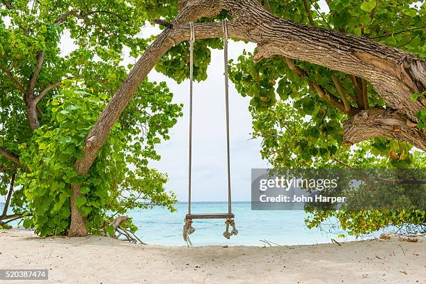 rope swing in the maldives - rope swing fotografías e imágenes de stock