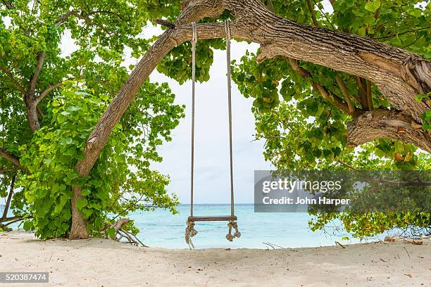 rope swing in the maldives - altalena di corda foto e immagini stock