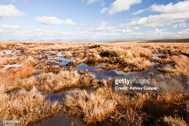 peat hags near loadpot hill above ullswater in the lake district, uk - peat stockfoto's en -beelden