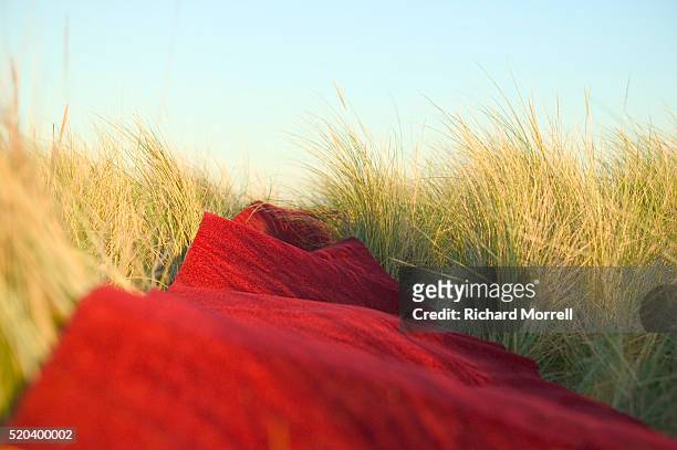 red carpet unrolled across field - red carpet foto e immagini stock