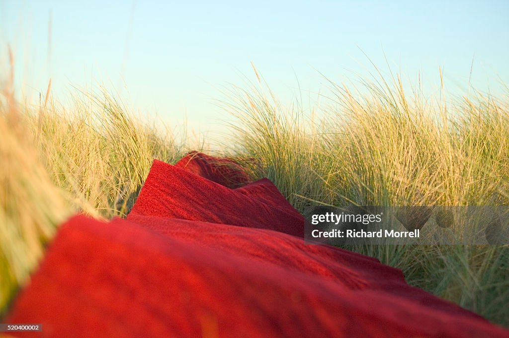 Red Carpet Unrolled Across Field