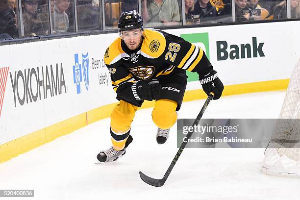 Landon Ferraro of the Boston Bruins skates against the Ottawa Senators at the TD Garden on April 9, 2016 in Boston, Massachusetts.